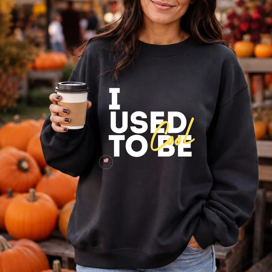 I Used To Be Cool Tee by When Pigs Fly Goods